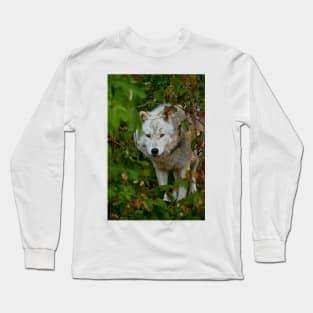 Arctic Wolf Long Sleeve T-Shirt